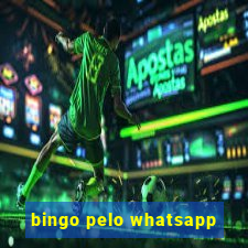 bingo pelo whatsapp