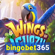 bingobet365