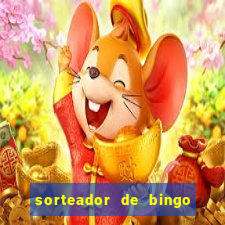 sorteador de bingo 90 bolas online