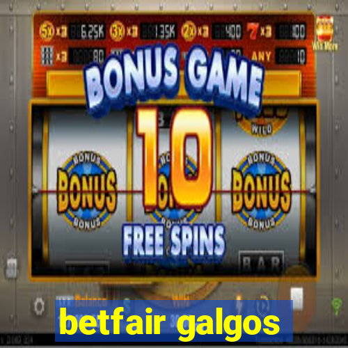 betfair galgos