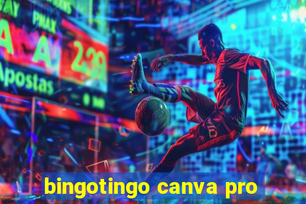 bingotingo canva pro