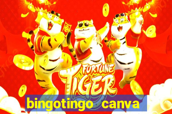 bingotingo canva pro gratis